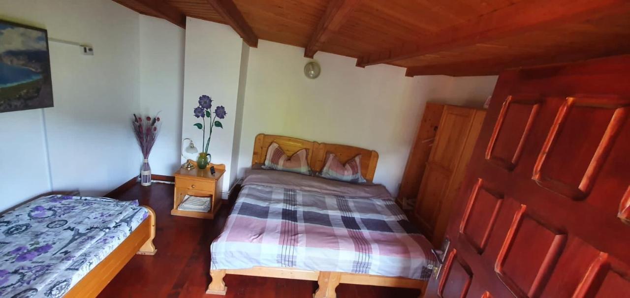 Casa Colt De Rai Villa Brezoi Exteriör bild