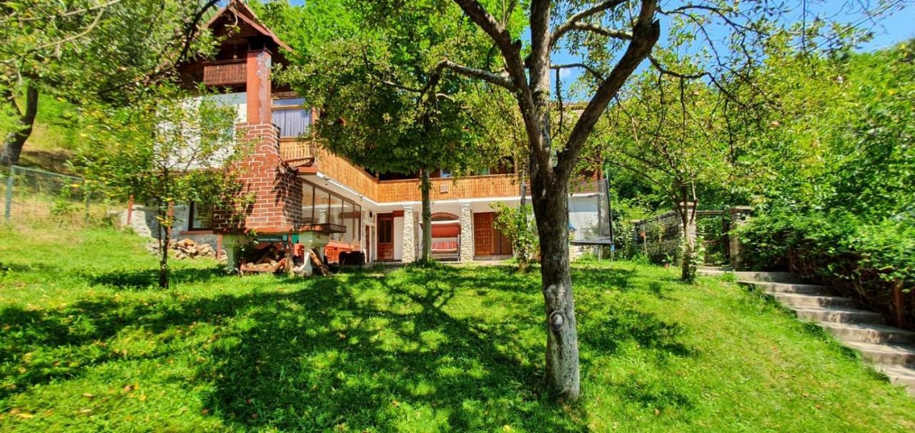Casa Colt De Rai Villa Brezoi Exteriör bild