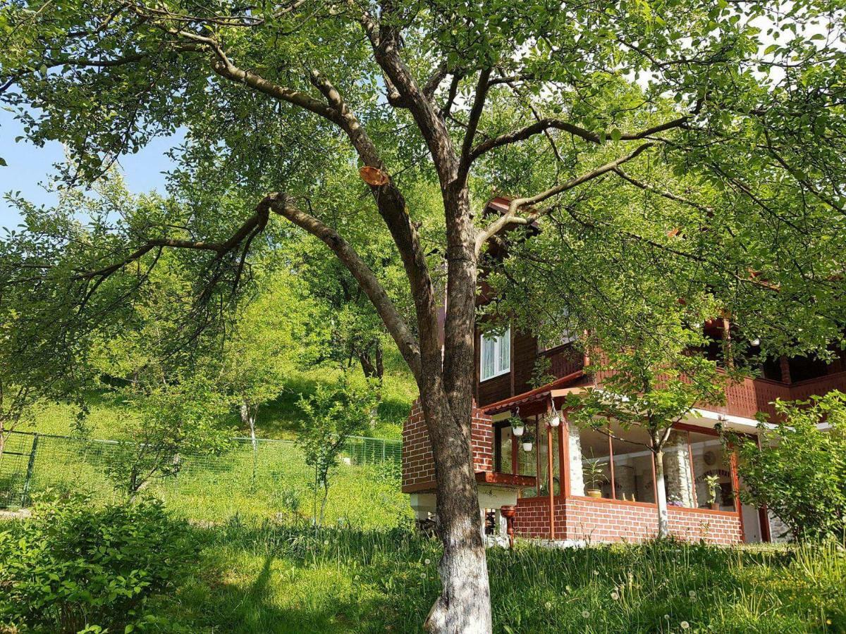 Casa Colt De Rai Villa Brezoi Exteriör bild