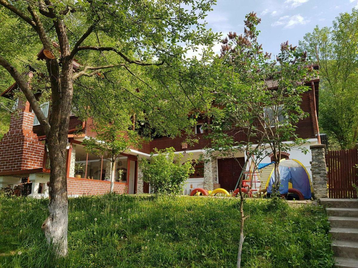 Casa Colt De Rai Villa Brezoi Exteriör bild